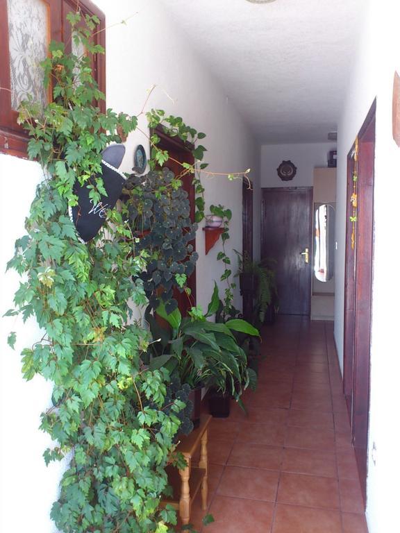 Apartment Leona Senj  Εξωτερικό φωτογραφία