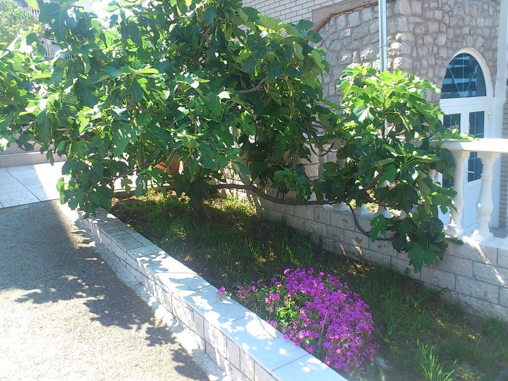 Apartment Leona Senj  Εξωτερικό φωτογραφία