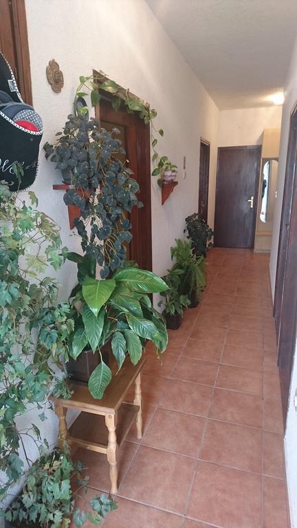 Apartment Leona Senj  Εξωτερικό φωτογραφία
